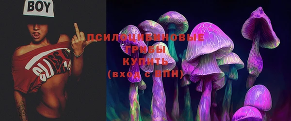 2c-b Алексин