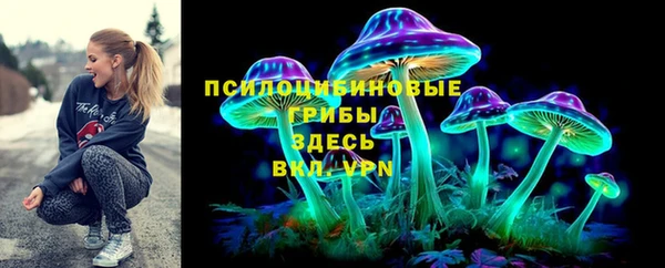 СК Алзамай