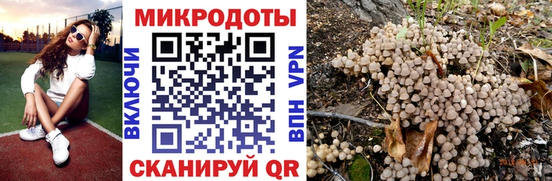 blacksprut как войти  Алексеевка  Галлюциногенные грибы Cubensis 